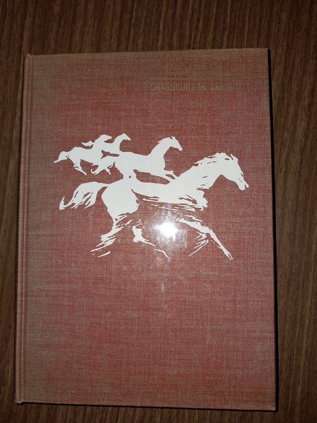 Libri: Chasseurs de chevaux – Usato da Le locle venduto da juliensaran