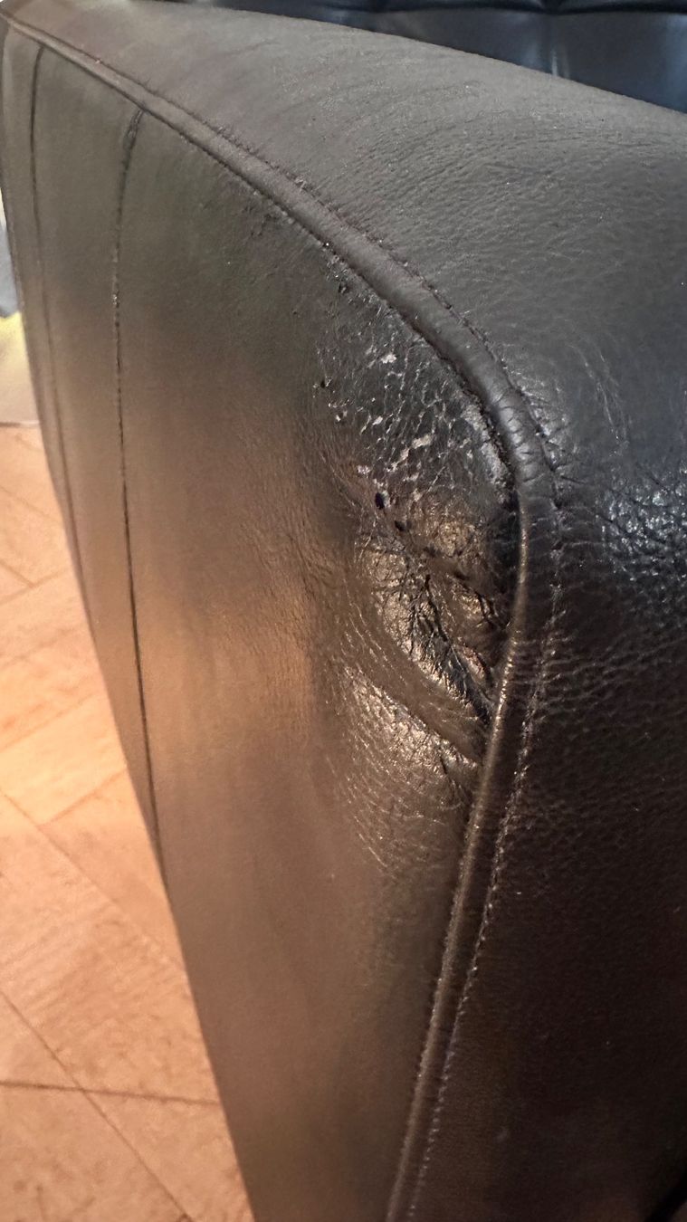 Ikea Poltrone: Leder Sessel (IKEA) – Usato da Bern venduto da Stefan_20000 1