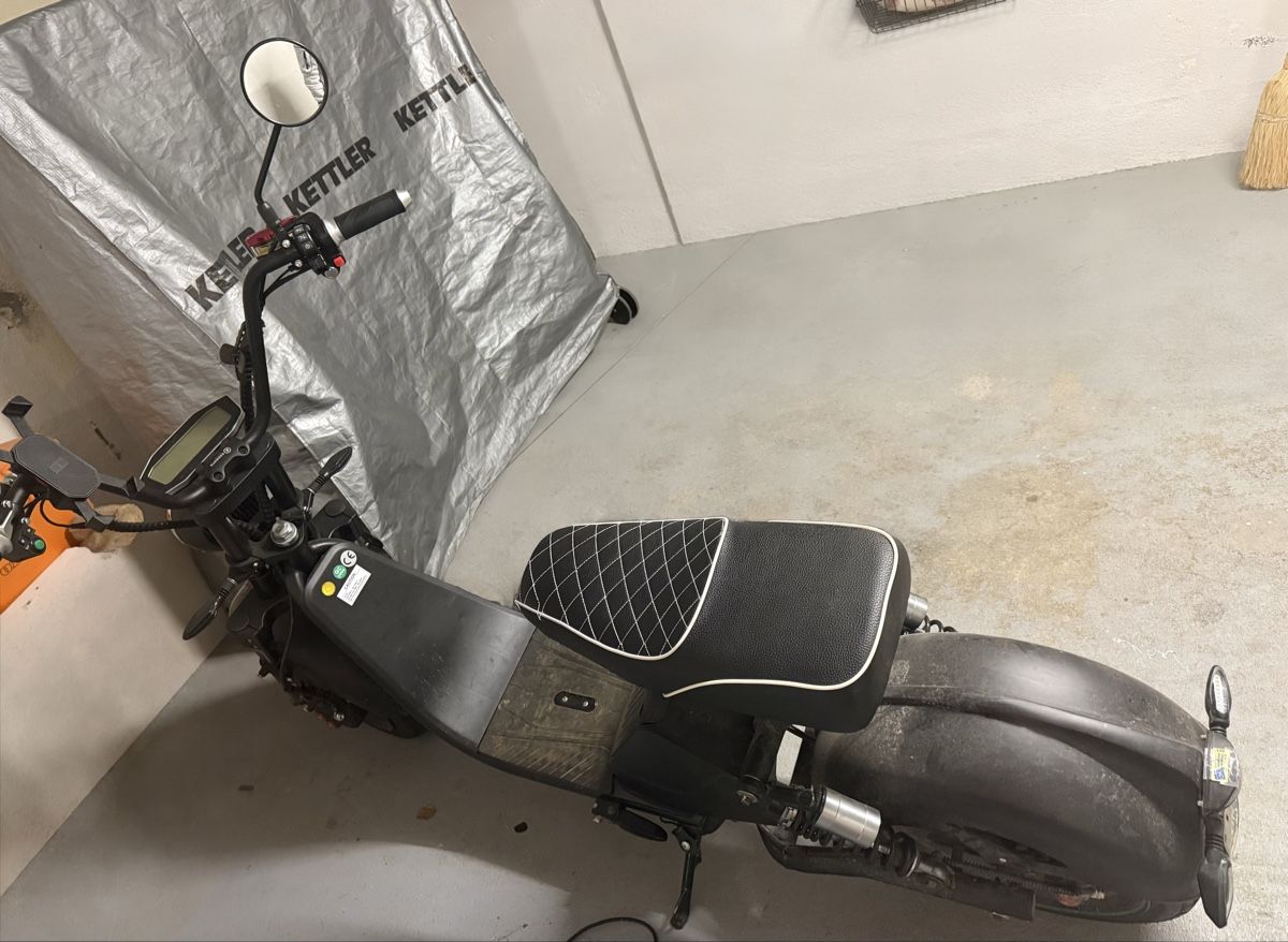 Scooters: Gebrauchter E-Roller zu verkaufen – D'occasion à Wetzikon ZH par ninushkaa 1