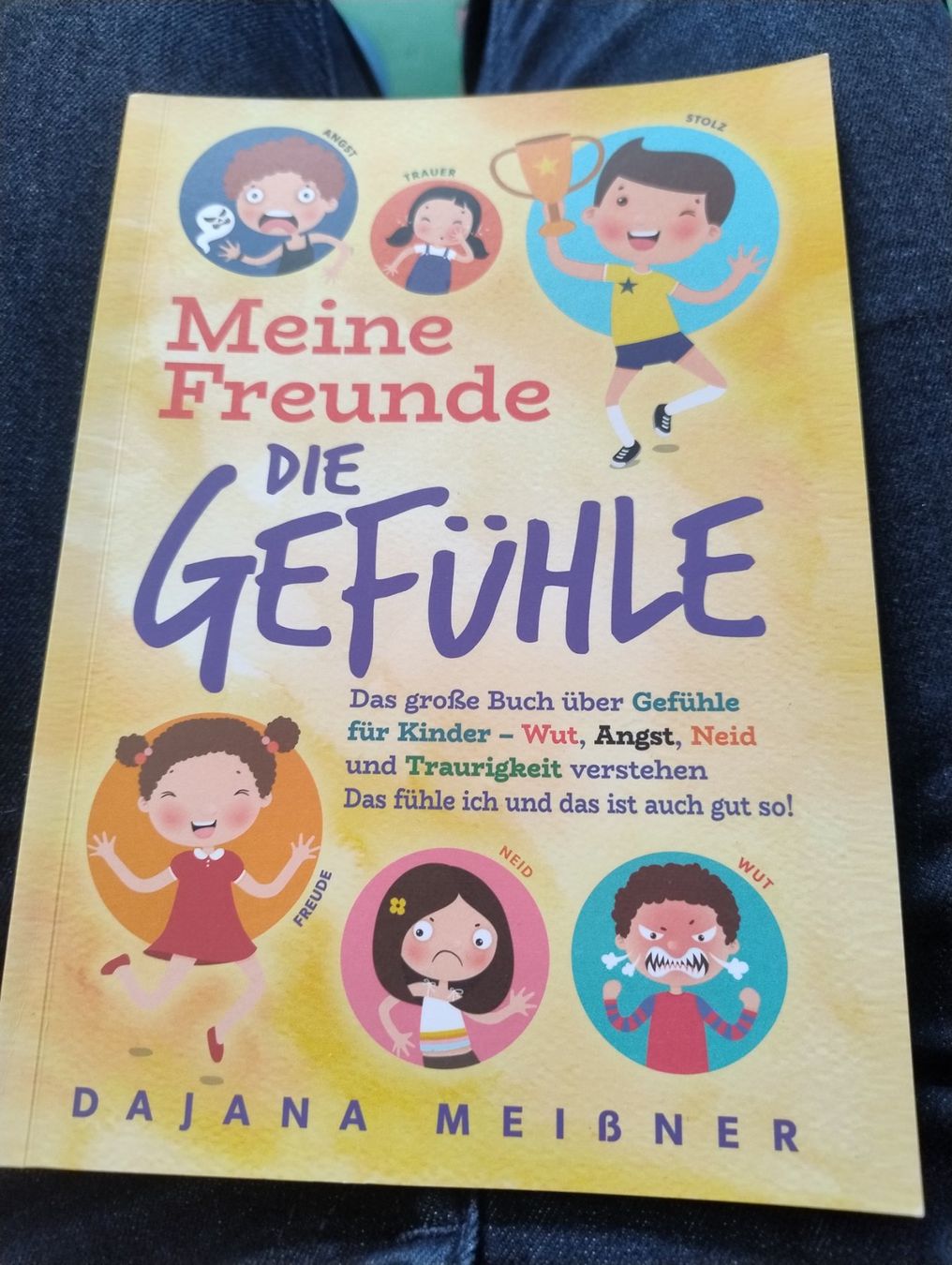 Libri: Meine Freunde die Gefühle – Usato da Bätterkinden venduto da livingdreams