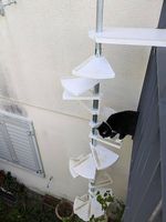 Professionelle Katzenleiter (gebraucht)