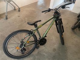 California Alpha Mountainbike, 26 Zoll (53)