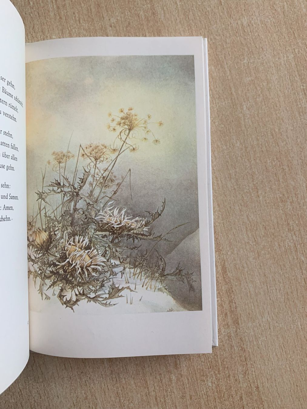 Livres: Leuchtend schöne Welt – D'occasion à Reinach BL par Grolifcb 5