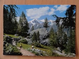 Spazierweg Grächen-Ried - 1980