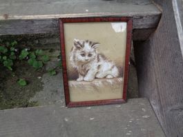 Katzenbild antik Rahmen mit Glas Bild signiert