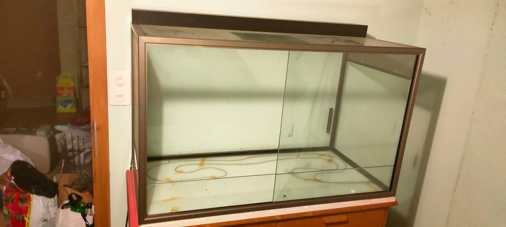 Elegantes Terrarium Mit Heizung Bild