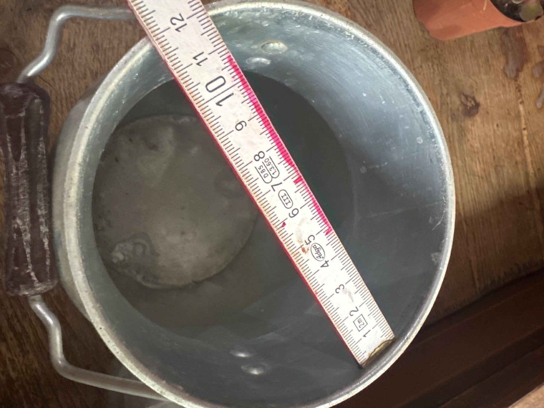 Agricoltura: Bidon lait milchkanne – Usato da Lajoux JU venduto da Briard0 4