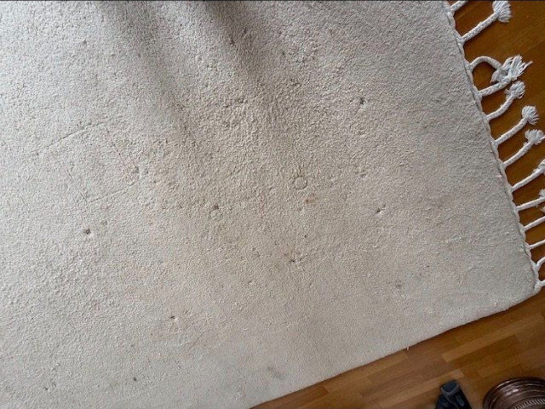 Tappeti: Teppich, creme-weiss, 365 cm x 295 cm – Usato da Oberengstringen venduto da Gal 5