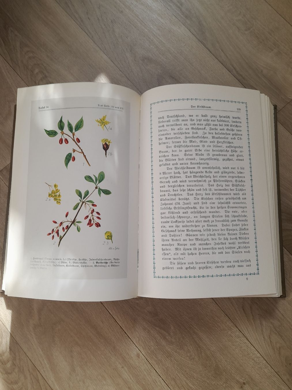 Bücher: Kräutersegen 1896 – Gebraucht aus Basel von Basel_20 3