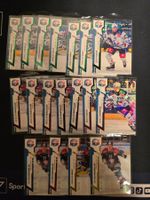 🔵 ZSC SportZoo Karten Lot – /10 /20 /30 Parallel
