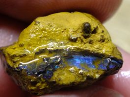 BOULDER ROH OPAL 24.84 Kt Gebot 1.- Elektisch Blau feuer
