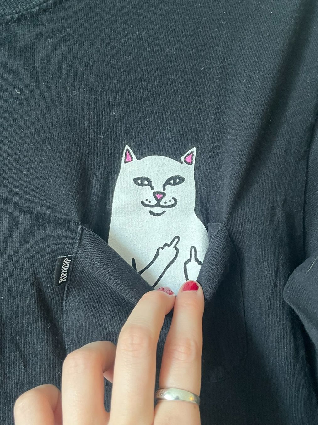 Ripndip Pulls & Sweat-shirts: Ripn Dip Pullover – D'occasion à Bern par zau_272v 1