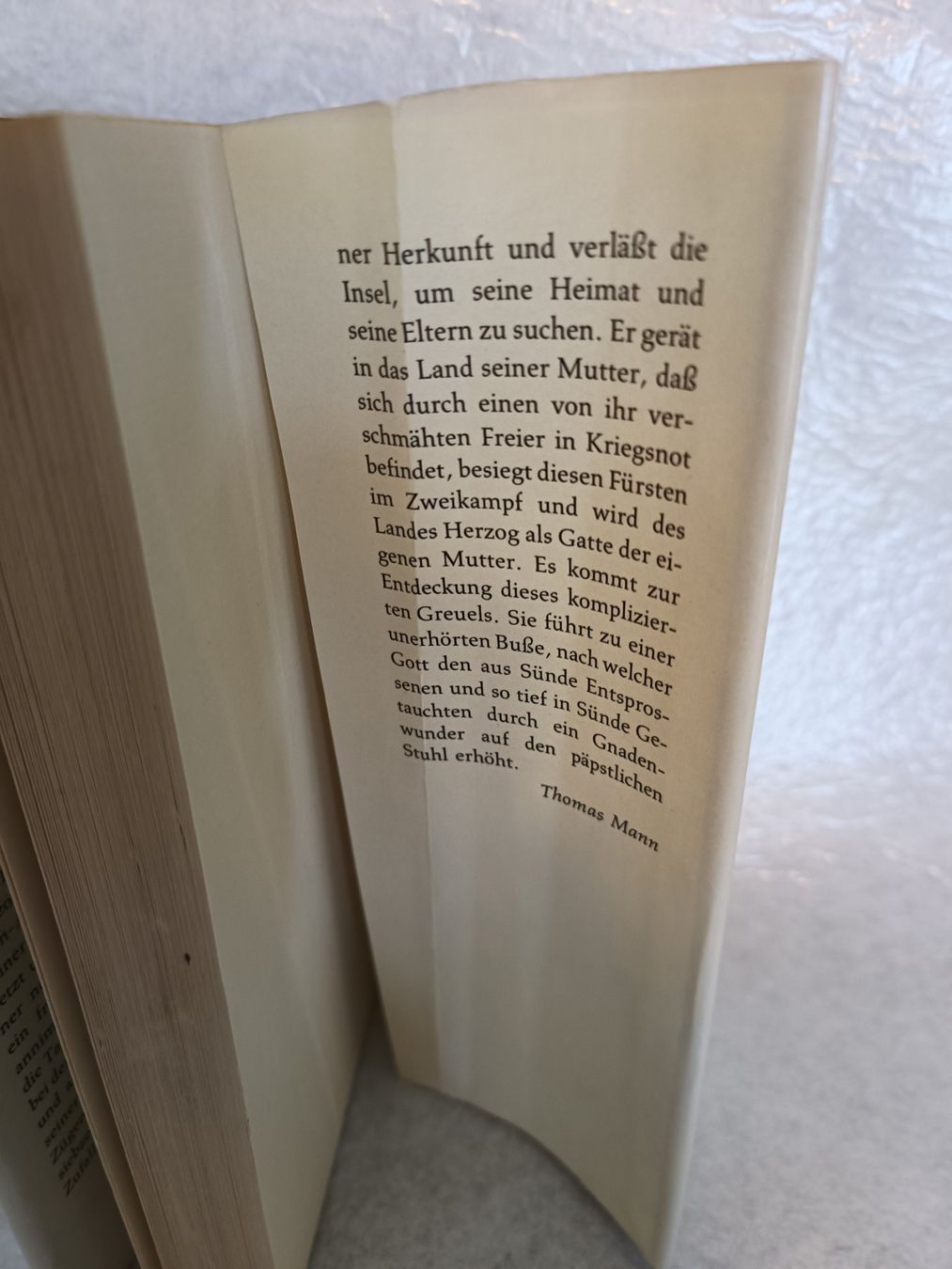 Bücher: Buch Thomas Mann: Der Erwählte - Hardcover-Buch – Gebraucht aus Oberhofen Thun'see von cri_6md2 5