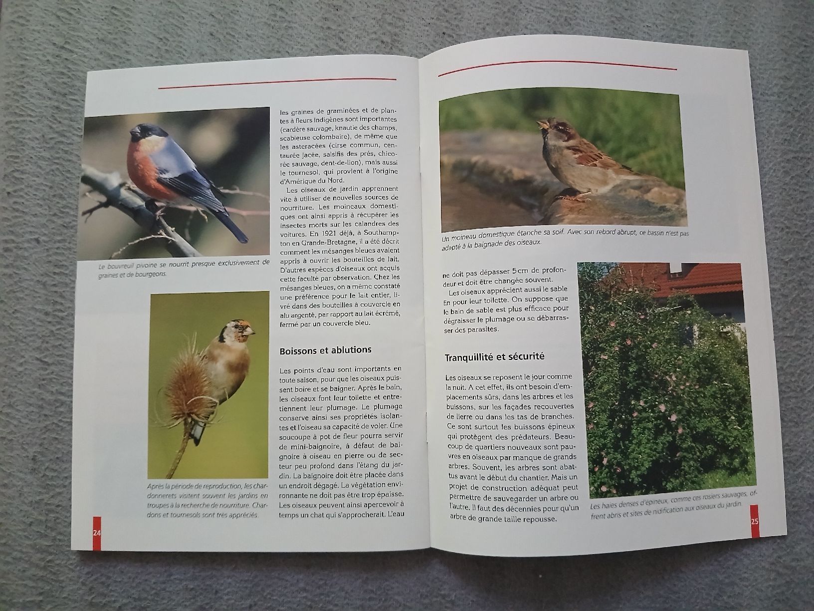 Libri: Livre "Oiseaux de nos jardins" – Usato da Le Sentier venduto da arc_2thy 6