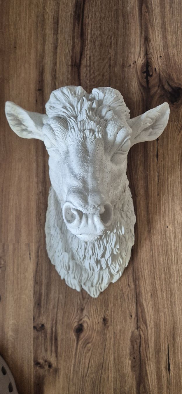 Tutte le decorazioni: Hirschkopf Wanddekoration – Usato da Ins venduto da Rhulk 4