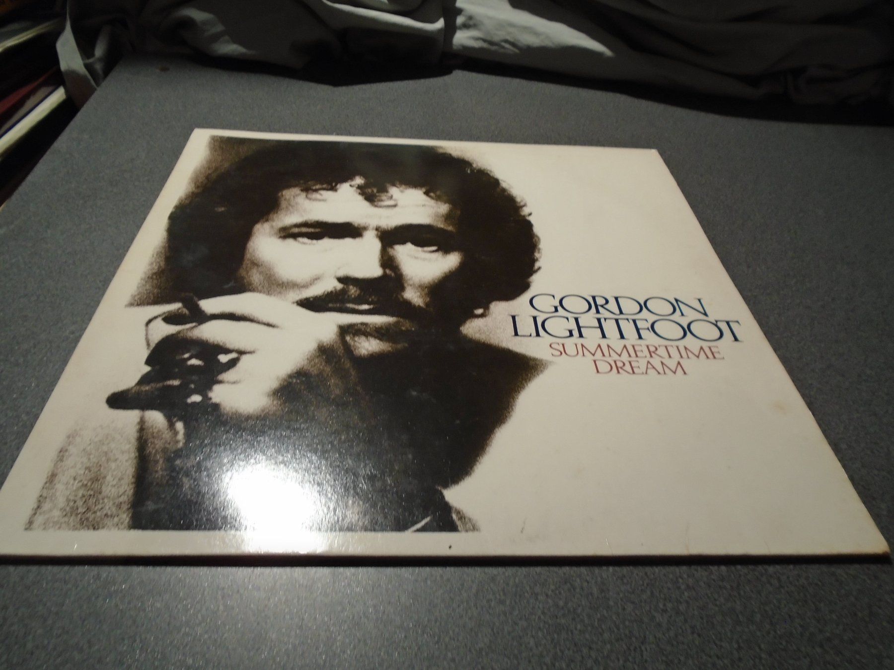 Dischi in vinile: Schallplatte Gordon Lightfoot, Summertime Dream – Usato da Zürich venduto da abraxas1291