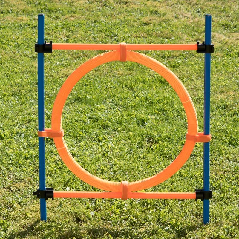 Giochi: Agility Fun & Sport Sprungring – Nuovo (secondo la descrizione) da Wangen SZ venduto da Jaay_Sky