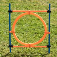 Agility Fun & Sport Sprungring