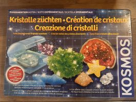 Kristalle züchten😁