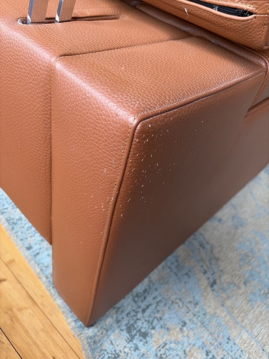 Divani: Jori Leder Sofa Cognac – Usato da Freidorf TG venduto da ibipatria 3