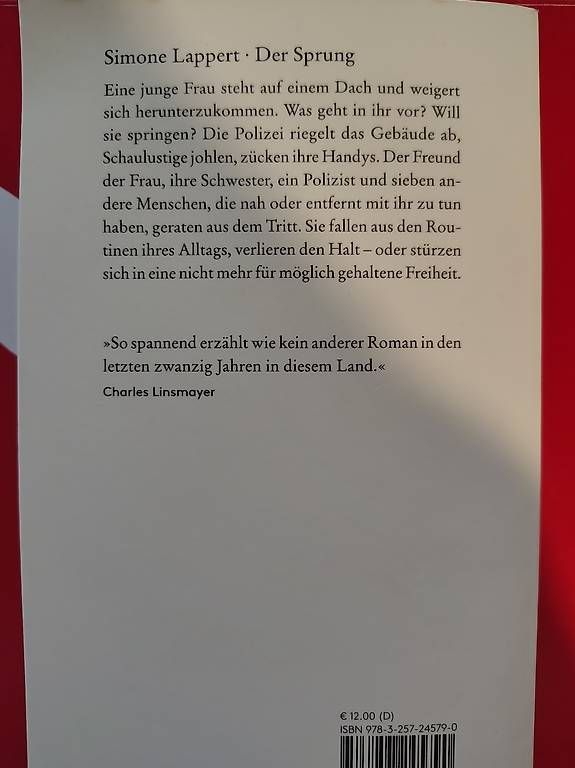 Libri: Simone Lappert, der Sprung, wie neu – Usato da Gümligen venduto da pre_z2wf 1