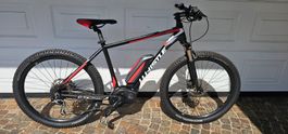 E-Mountainbike