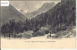 Route de Finshauts et le Mont-Blanc - animee