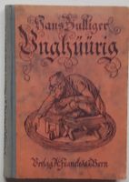 Unghüürig ! Berner Bantiger & seine Geschichten (1924)