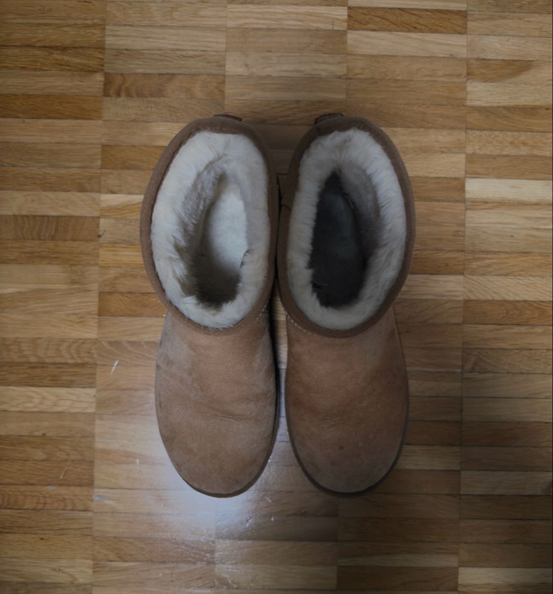 Scarpe da uomo: UGG Classic Mini Unisex Boot 43 – Usato da Mammern venduto da elhookador 2