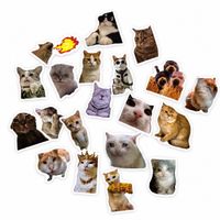 Cat Meme Stickers – 20 einzigartige Designs 😺