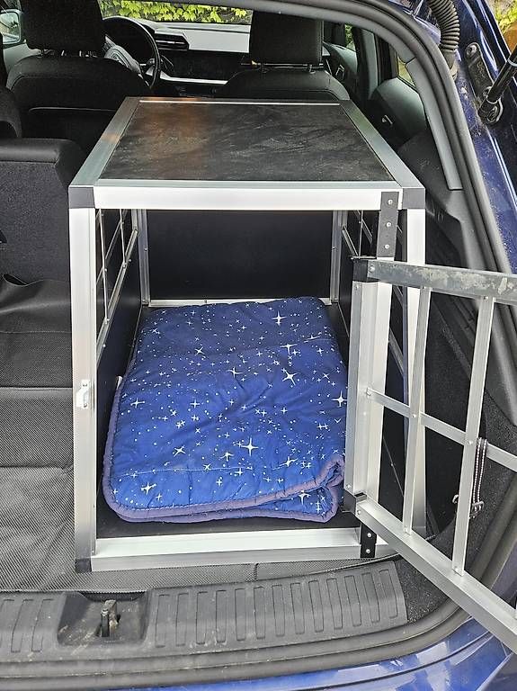 Gabbie, trasporto & Sicurezza: Gabbia per cani da auto – Usato da Capolago venduto da men_sbb5