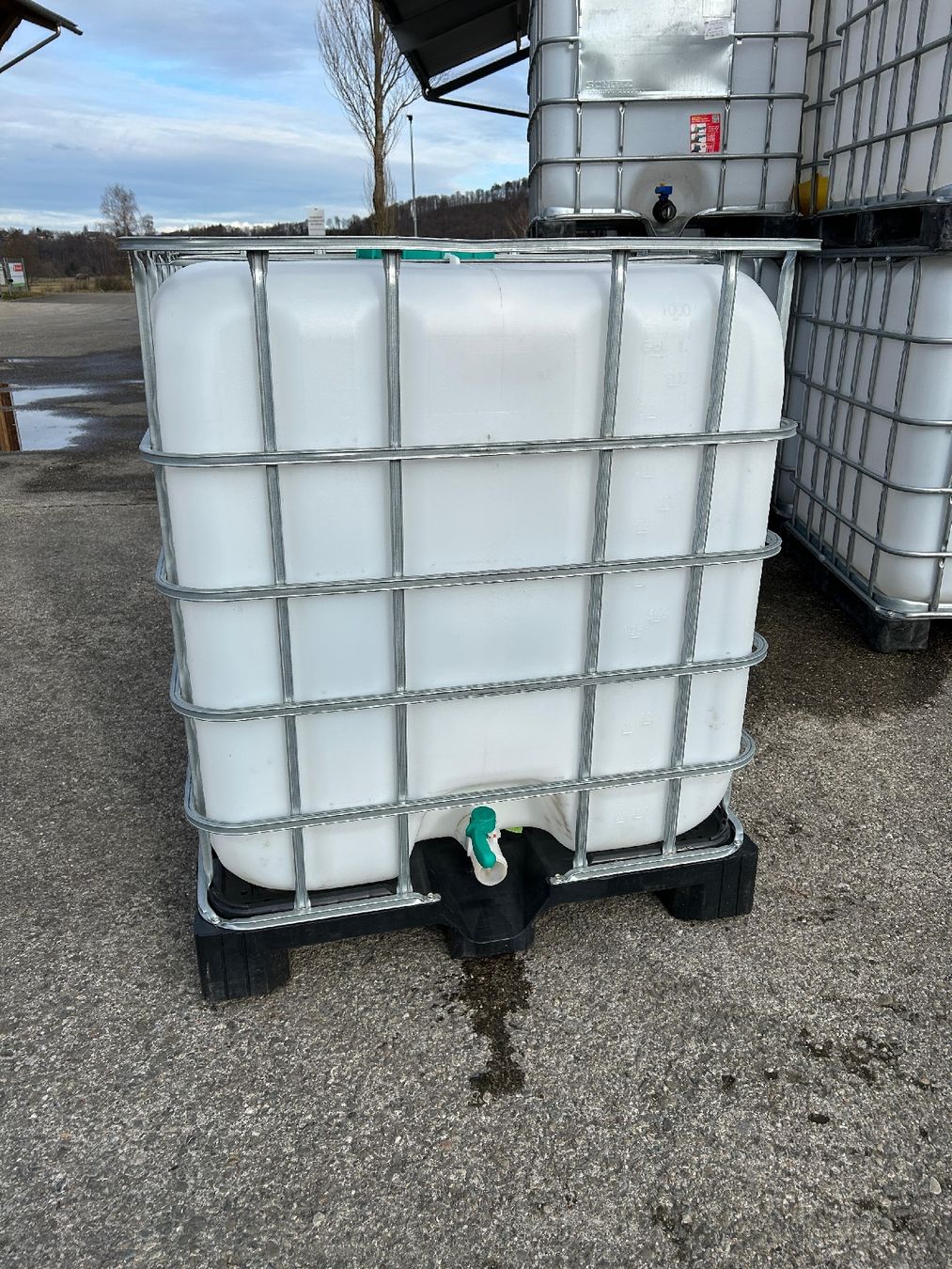 Abbeveratoi e trogoli: IBC Container 1000L Wassertank – Usato da Oberbütschel venduto da Buetschubach 3