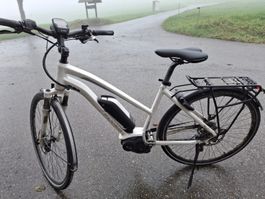 Flyer TS Serie 45 km