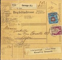 Alte Paket-Begleitadresse aus Carouge (Genf) nach Lyon (Fran