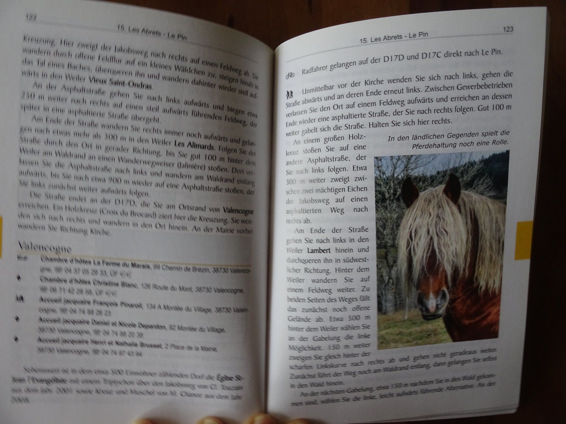 Libri: Jakobsweg Frankreich: Genf-LePuy – Usato da männedorf venduto da purzelchen 5