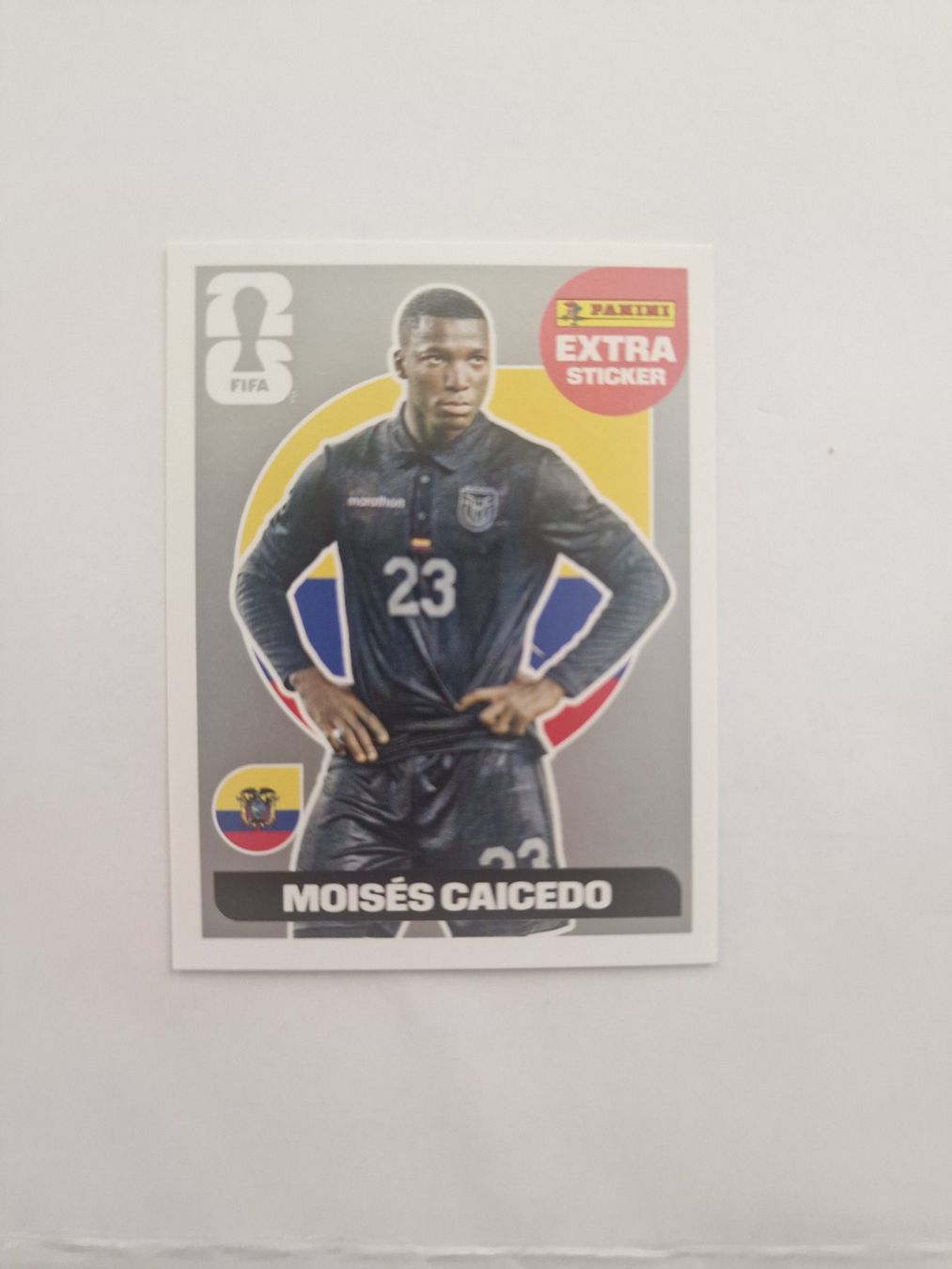 Panini Carte collezionabili: Panini WM 2026 extra sticker - Caceido in silber – Nuovo (secondo la descrizione) da Adliswil venduto da vendor123