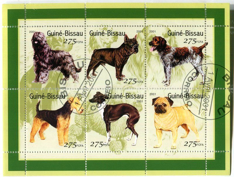 Alle Briefmarken: Block "Hunde". Guinea-Bissau – Neu und originalverpackt aus Basel von Butsch5