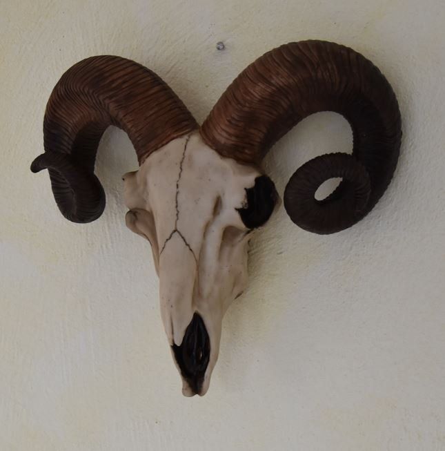 Tutte le decorazioni: Widderkopf Deko – Nuovo e nell'imballaggio originale da Menziken venduto da _Goldis_ 1