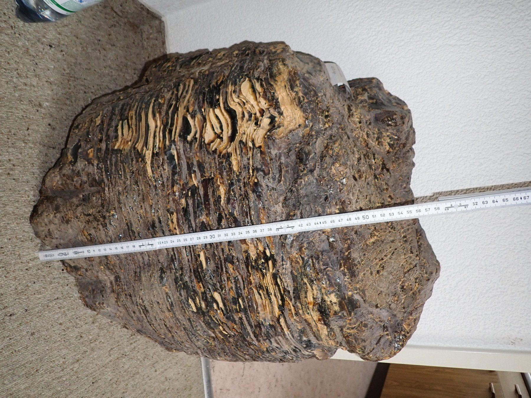 Fossili: Bernstein GIGANT 40 KG  Indonesien – Usato da Wallisellen venduto da Mf1000 6