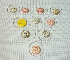 Lot Vintage Glas/Gläser für Uhr - Grösse 300-309
