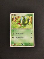 Pokemon Geckarbor (ADV-P 003), McDonalds Promo 2003, vintage