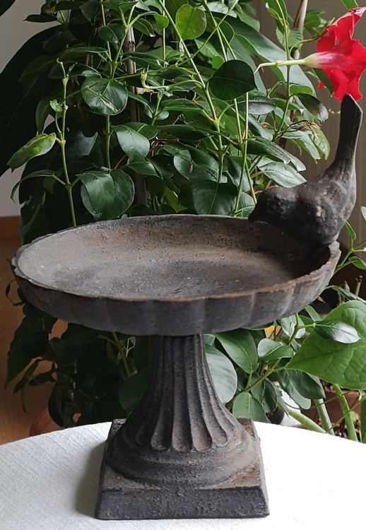 Vintage Vogeltränke aus Gusseisen Kaufen auf Ricardo