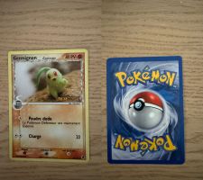 Carte Pokémon Germignon Ilf des Dragons 40 PV N 44/101