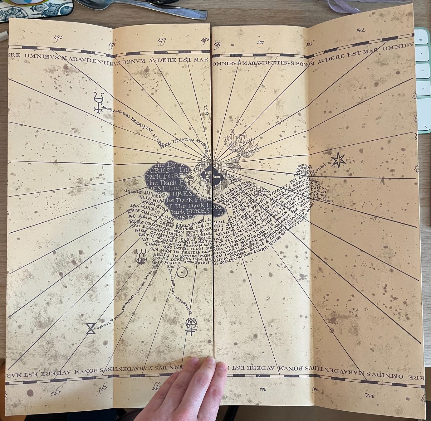 Foto & Immagini: Big «Marauder's Map» Harry Potter – Usato da Zürich venduto da sar_hm59 2