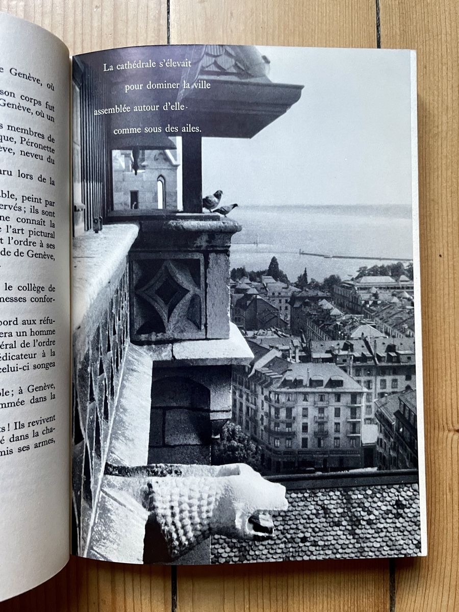 Libri: La Cathédrale de Genève - Daniel Buscarlet – Usato da Genève venduto da Januacoeli 5