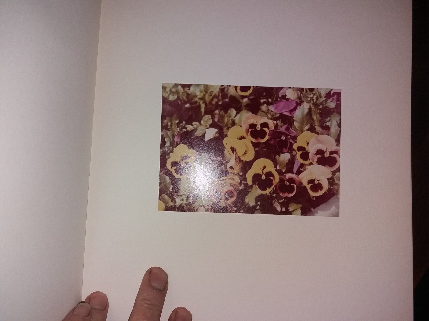Bücher: FOTOKLASSIKER Luigi Ghirri    rar – Gebraucht aus Welschenrohr von Regool 2