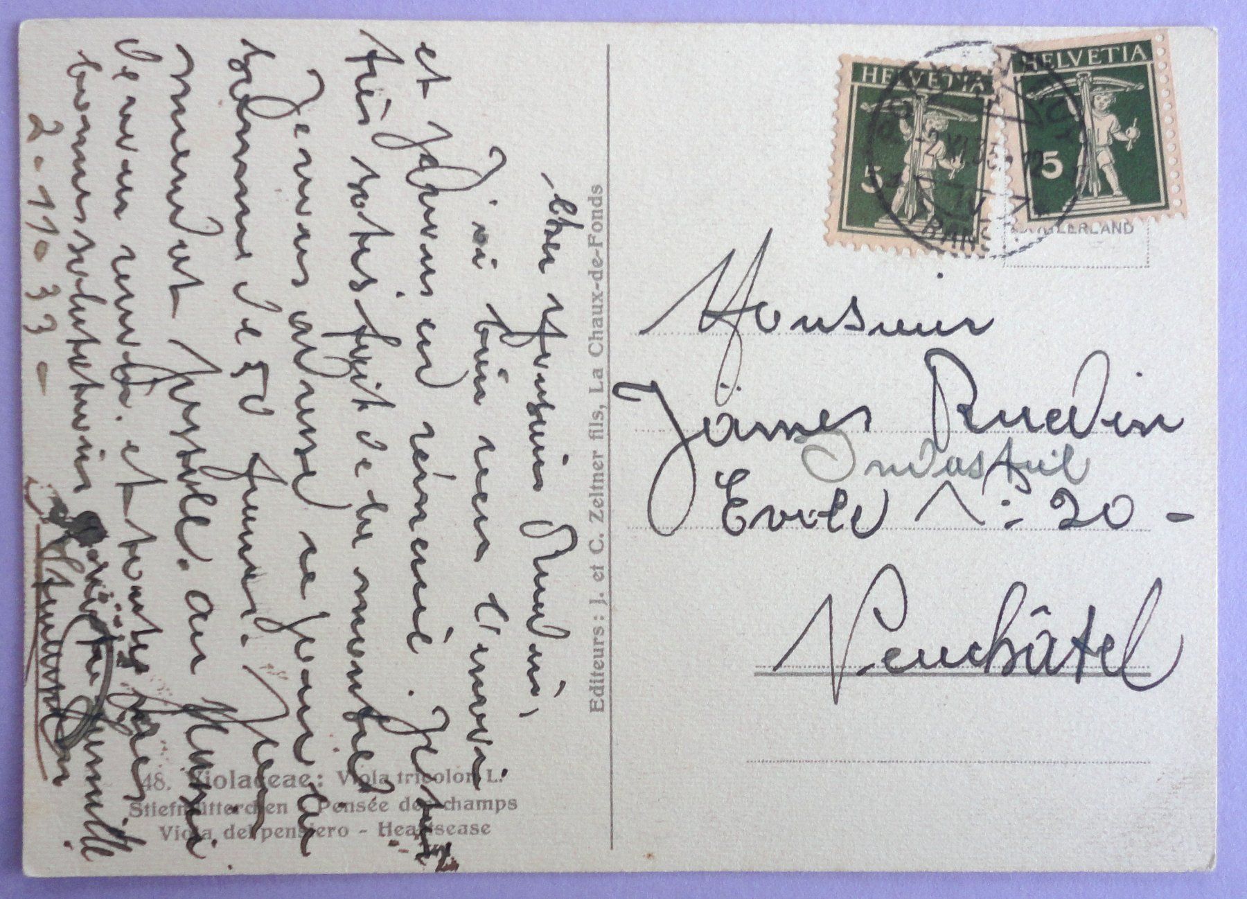 Cartoline postali: Pensées des Champs – Usato da Fétigny venduto da Billy2miny 1