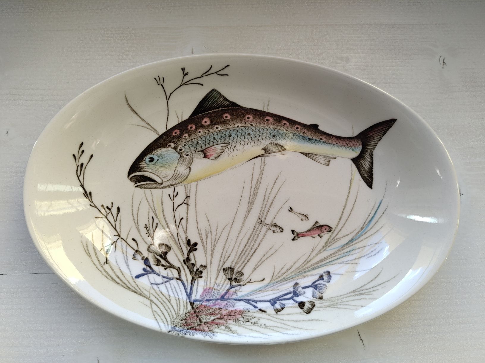 Johnson Brothers Plateaux: Johnson Bros Fish kleine Servierplatte oval – D'occasion à Biel/Bienne par DoNa82 1