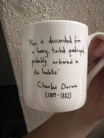 Tasse Porzellan Darwin Sammlerstück