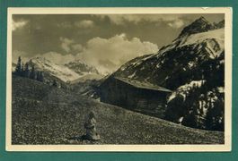 Alpwiese im Frühling, bei Grindelwald?, ungelaufen, ca. 1930